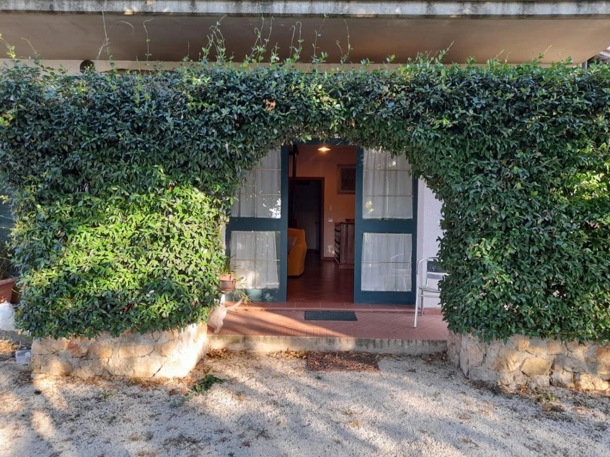 8380 Il Tiglio Verde Manciano Esterno foto