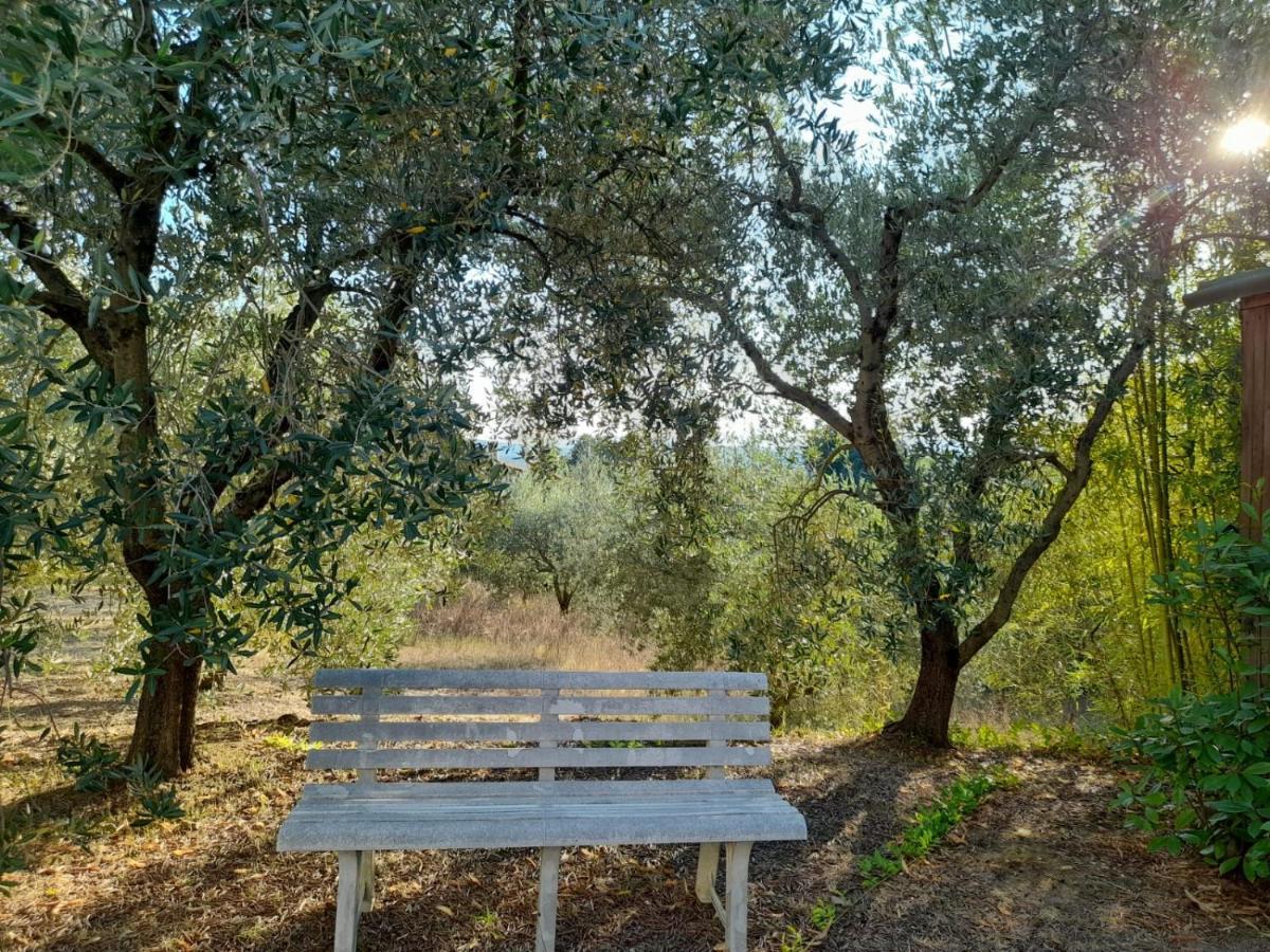 8380 Il Tiglio Verde Manciano Esterno foto