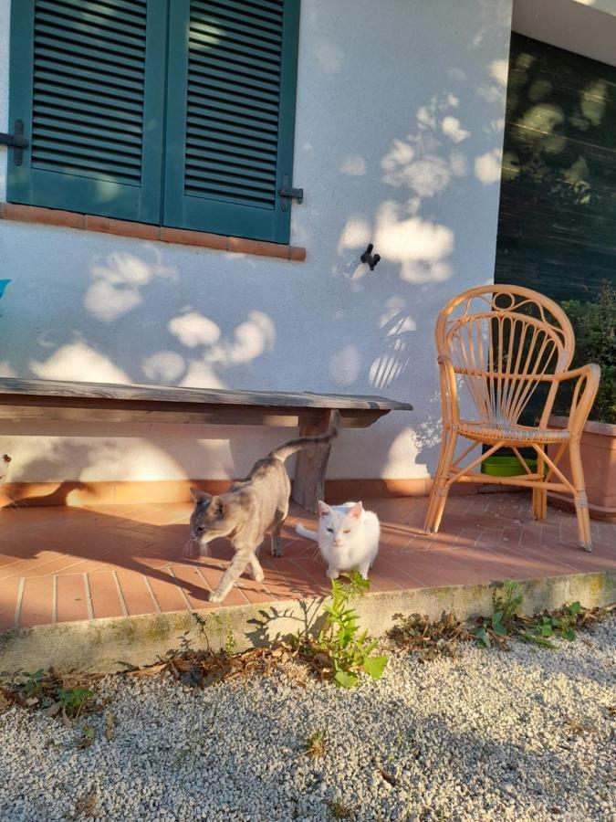 8380 Il Tiglio Verde Manciano Esterno foto