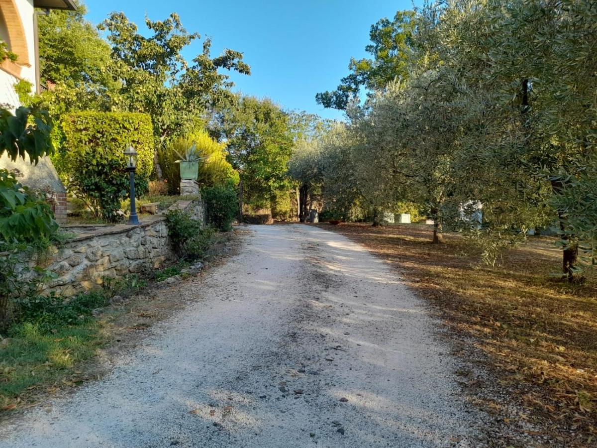 8380 Il Tiglio Verde Manciano Esterno foto