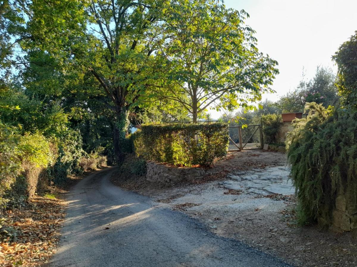 8380 Il Tiglio Verde Manciano Esterno foto